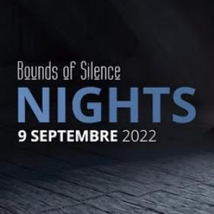 The Useful Little Pains nouveau titre des Bounds Of Silence