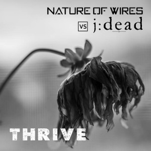 Nature of Wires vs j:dead  sur LRdR avec THRIVE
