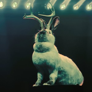 Projet Panache sur LRdr avec le titre Tu peux partir