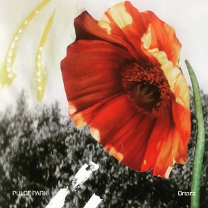 Pulse Park en découverte sur LRdR avec le titre Briars