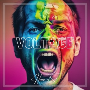 Voltage le nouveau House Of Seb sur LRdR