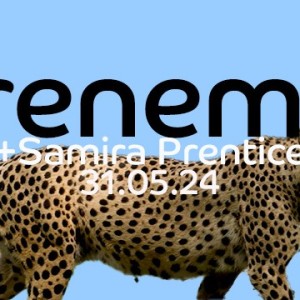 Hyperfield feat. Samira Prentice en découverte sur LRdR avec le titre Frenemy