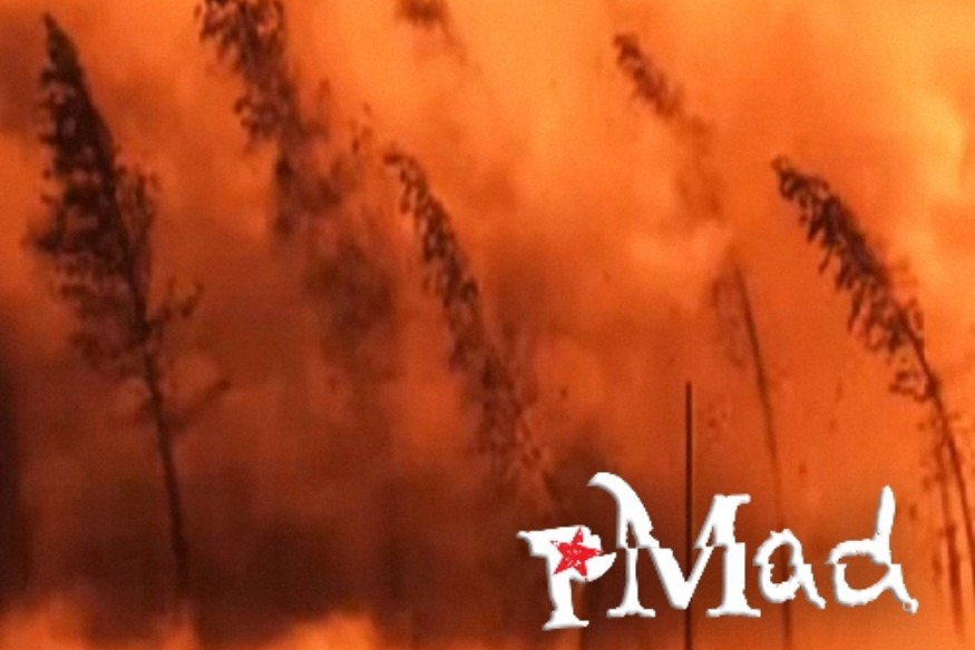 Horror le nouveau titre de pMad sur LRdR