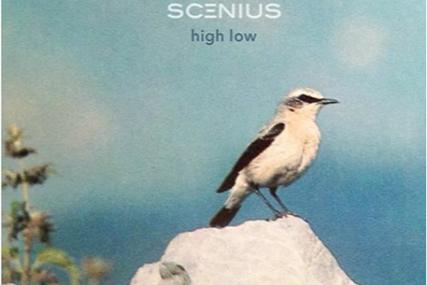 High Low le nouveau Scenius sur LRdR
