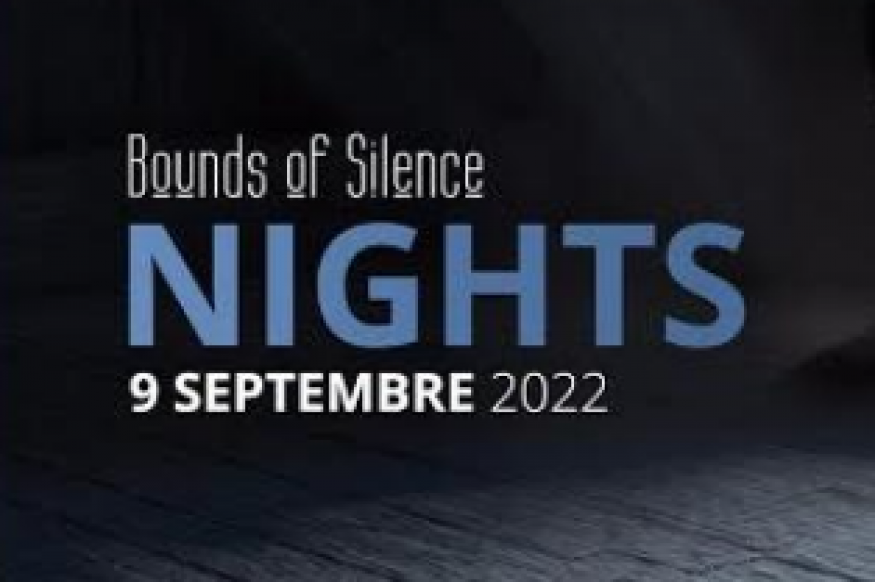 The Useful Little Pains nouveau titre des Bounds Of Silence