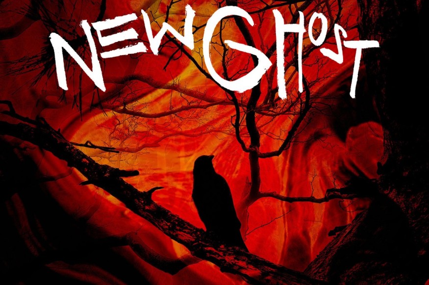 New Ghost en découverte sur LRdR  avec le titre Dreamsong