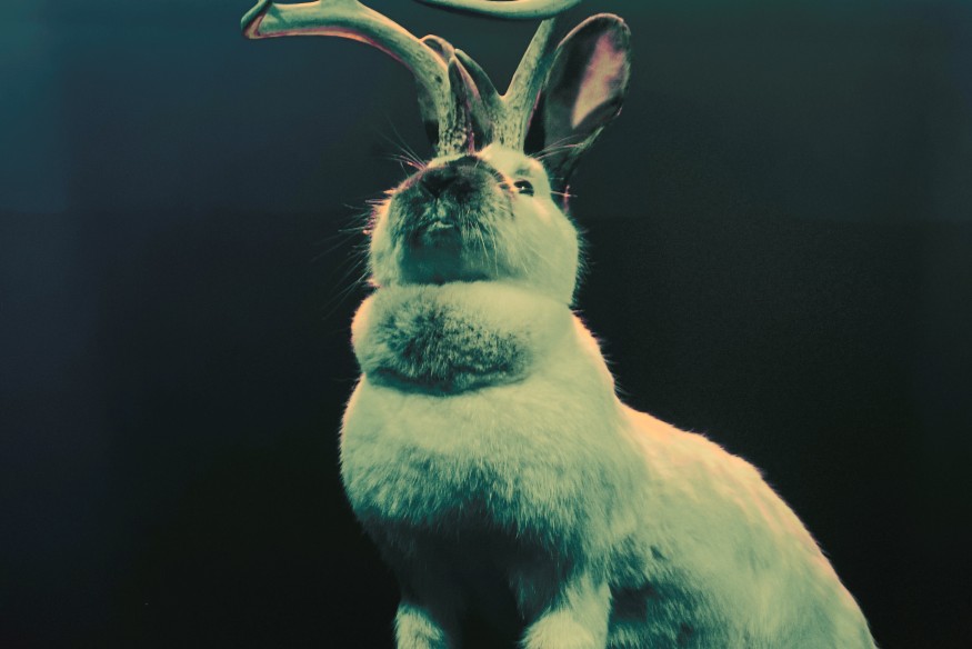 Projet Panache sur LRdr avec le titre Tu peux partir