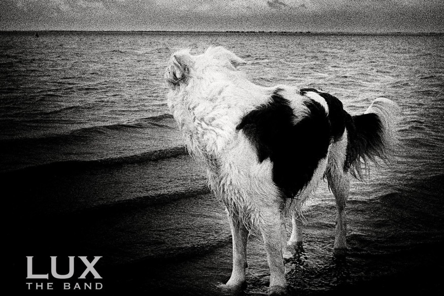 LUX THE BAND nouveau titre sur LRdR THE BALLAD OF JOHN