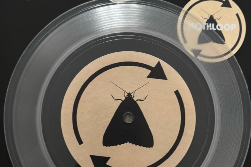 Information Dislocation le nouveau Mothloop vs Sons of Ken