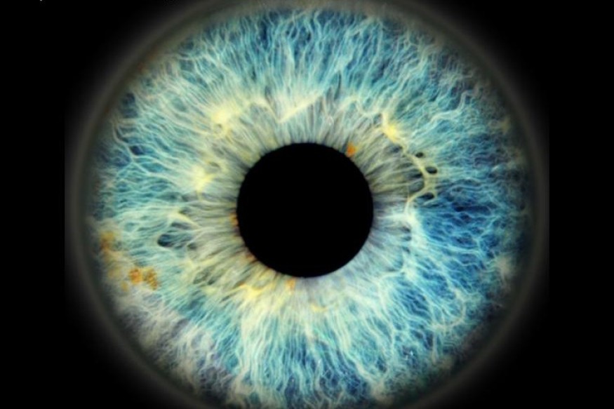 sKoT en découverte sur LRdR avec 2 titres oui Troubled Eye et Sanctuaire