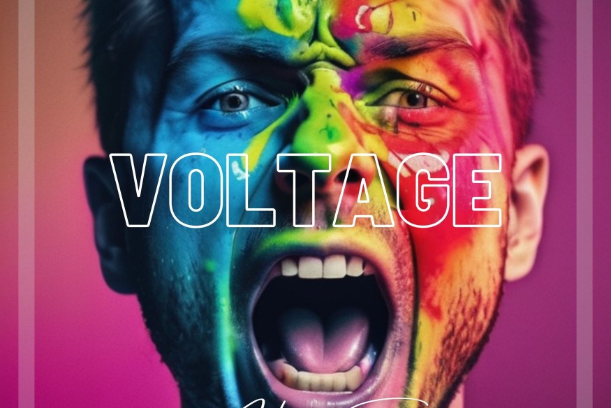 Voltage le nouveau House Of Seb sur LRdR