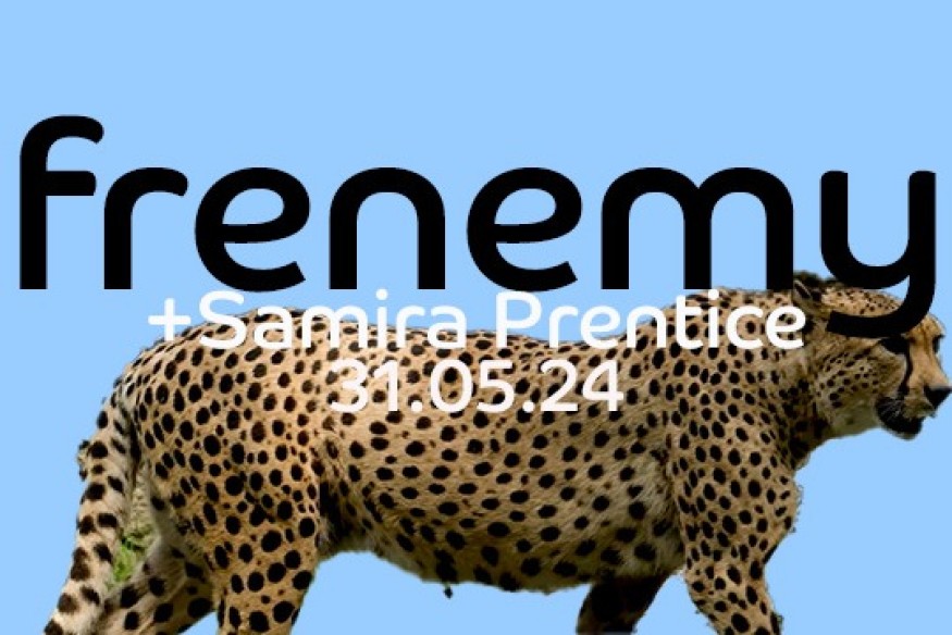 Hyperfield feat. Samira Prentice en découverte sur LRdR avec le titre Frenemy