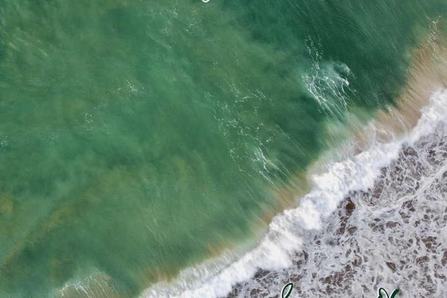 Empty Space  en découverte sur LRdR avec le titre  Without You