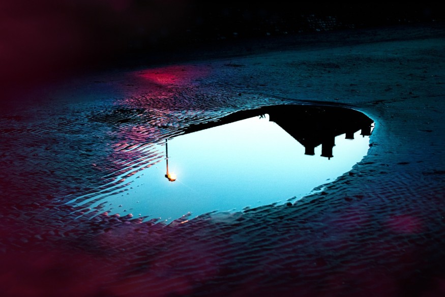 The Silent Room en découverte avec Veins