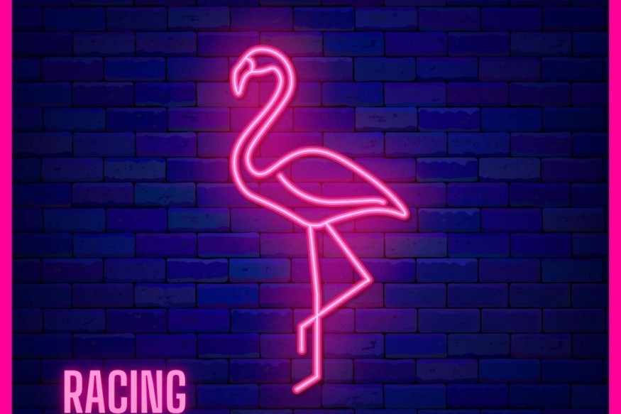 Le nouveau Perpacity sur LRdR oui Racing With Flamingos