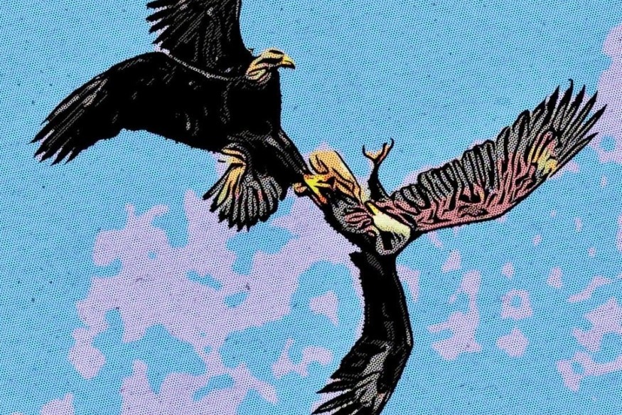 RIVIA  en découverte sur LRdR avec  'FALLIN'