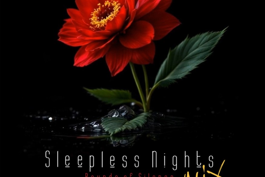 Bounds Of Silence Remix  Sleepless Night  (Remix BOS)