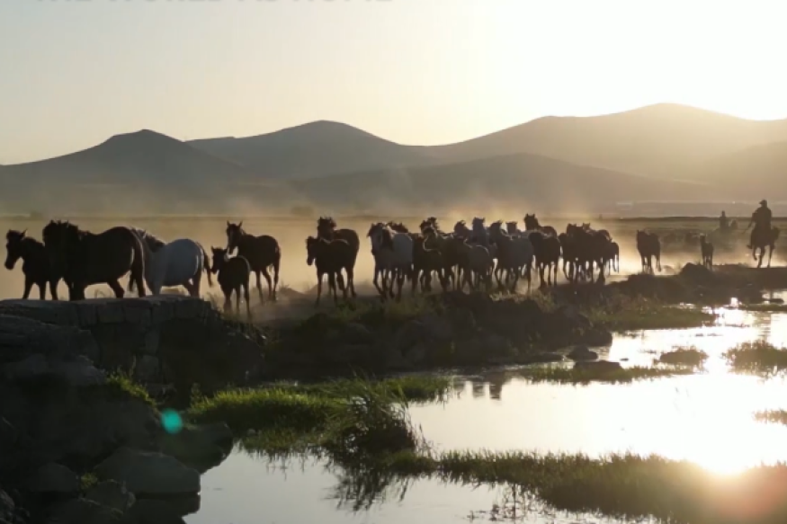 The World as home le nouveau CYSEV sur LRdR