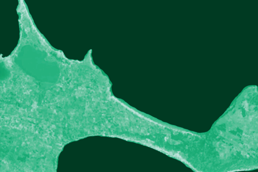 Ben Le Jeune en découverte sur LRdR Formentera