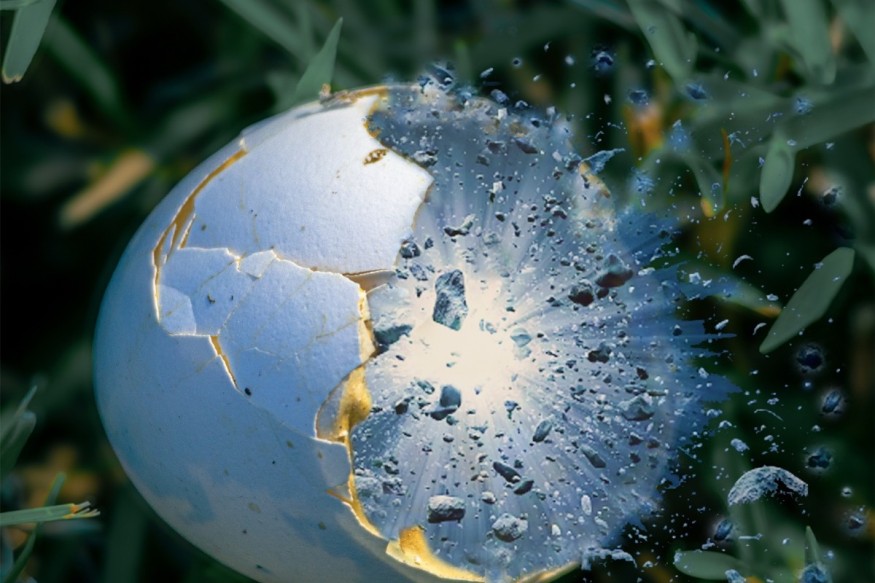 Icicle nouvelle album sur LRDr en écoute One is Madness, Two is Movement, One Good Reason Believe,