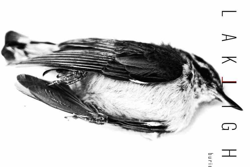 Buried Alive  le nouveau BlakLight  sur LRdR