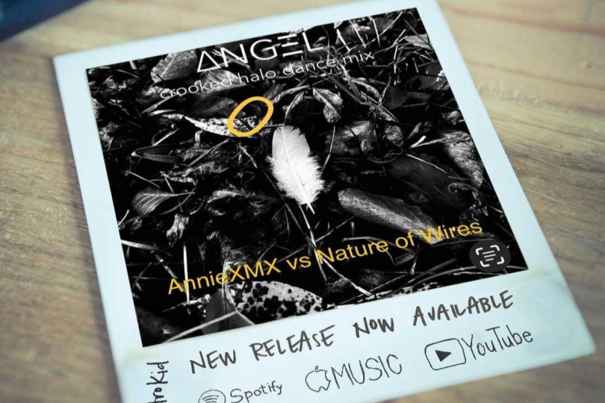 AnnieXMX vs Nature of Wires en découverte sur LRdR Angel (crooked halo dance mix)