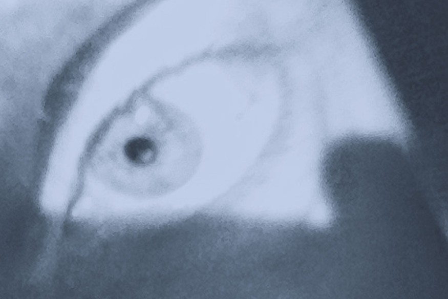 PARADE GROUND sur LRdR A Message To Europa (to the dreamers)