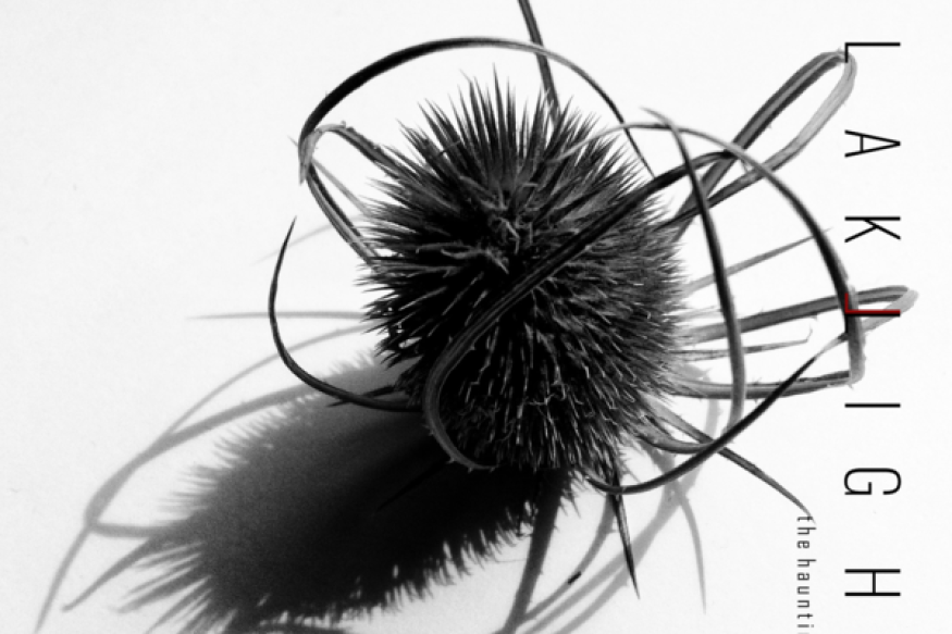 Nouvel album « The Haunting of Us », les BlakLight avec  Cruel sur LRdR