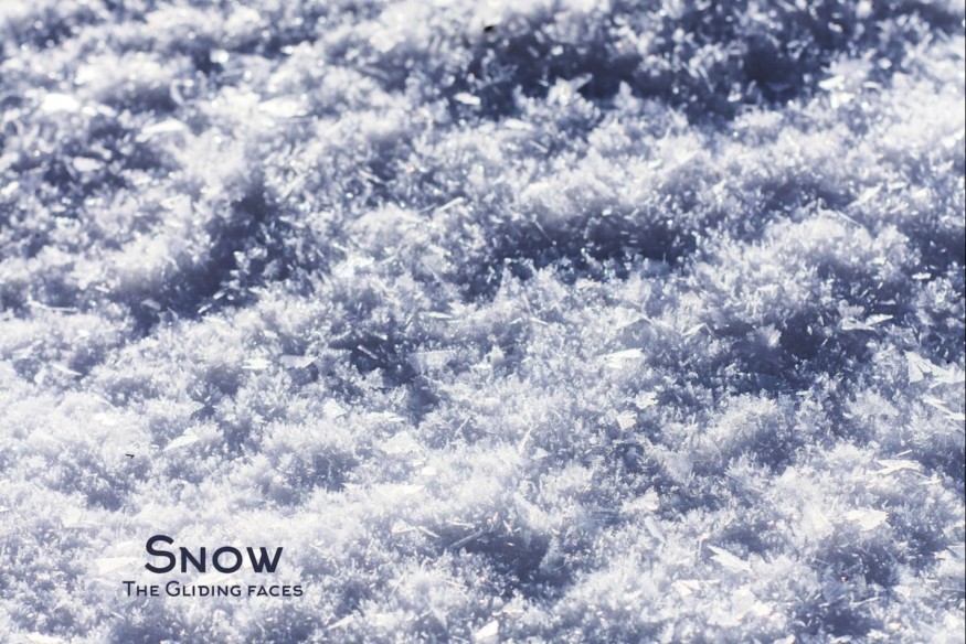 The Gliding Faces en découvertes  sur LRdR Snow