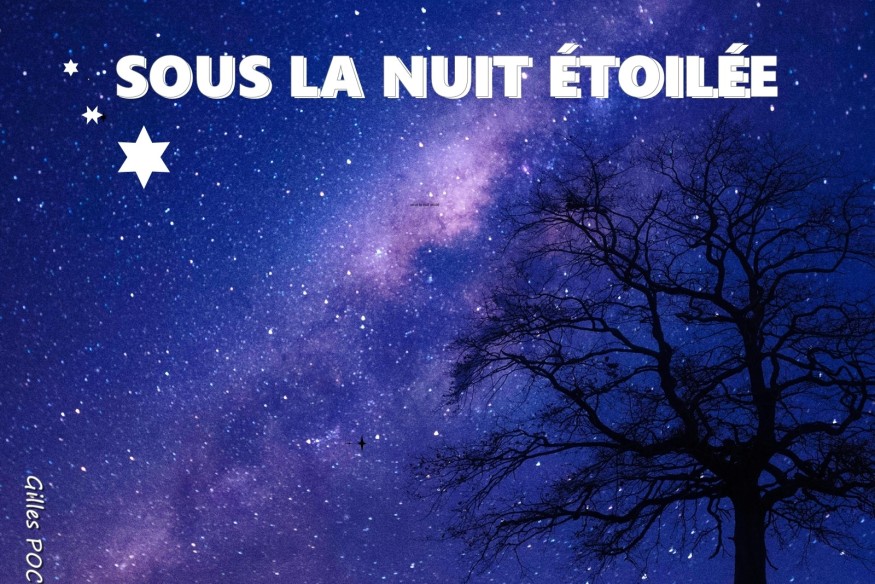 Sous la nuit étoilée sur LRdR Gilles POCHON
