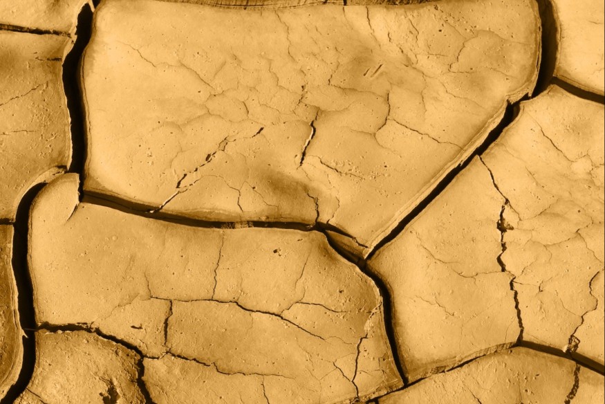 The Gliding Faces nouveau titre sur LRdR Terracotta (Single Mix)