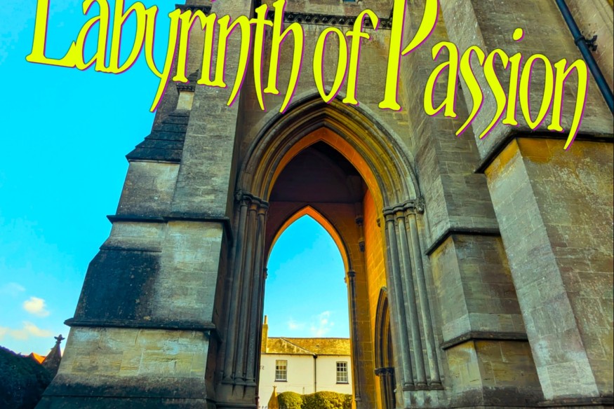 Labyrinth of Passion le nouveau Nicolas Rixon sur LRdR