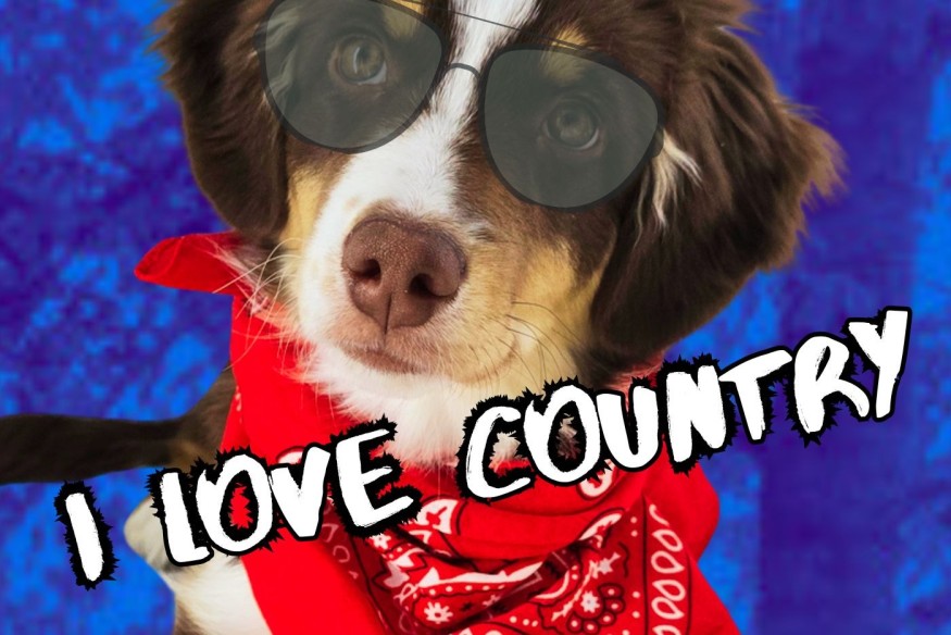 Gareth Nugent en découverte  sur LRdR I Love Country