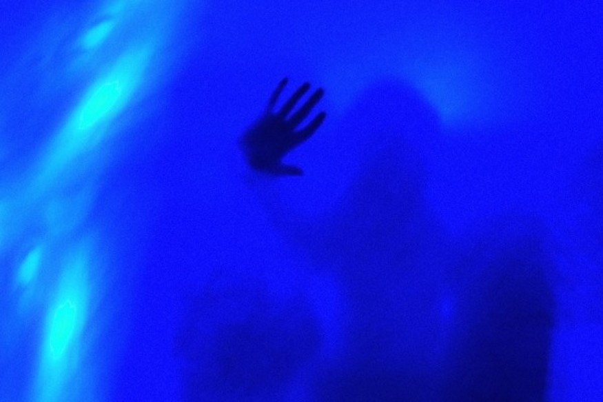 Bad Dreams  le nouveau Polyvinyl et sur LRdR