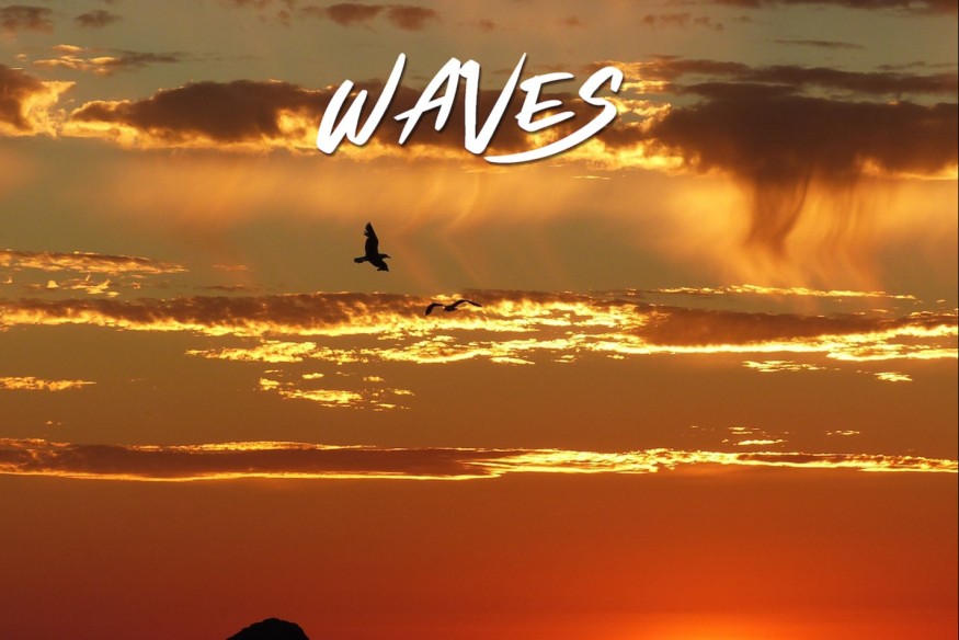 Graflex nouveau titre sur LRdR Waves