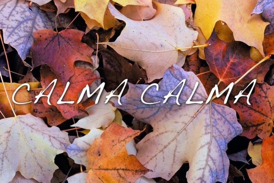 Calma Calma  nouveau Icicle sur LRDR