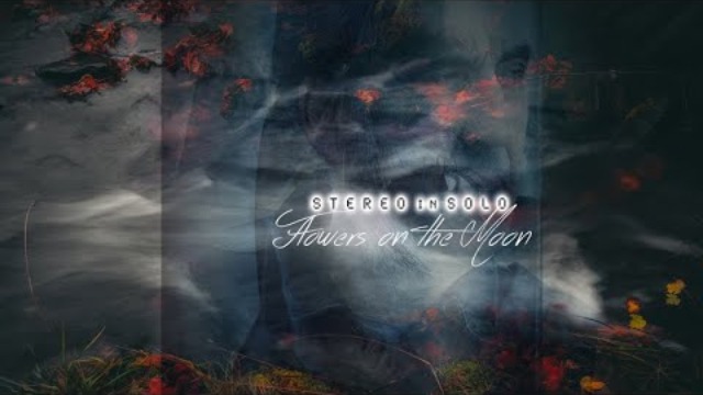 Stereo In Solo - Flowers on the moon